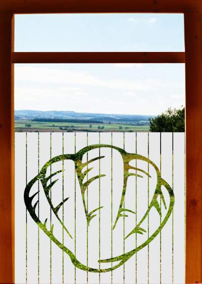 Sichtschutzfolie Badezimmerfenster Muschel