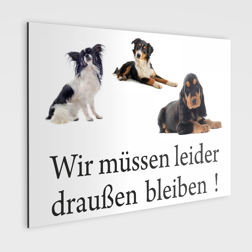 Cocker Schild Hunde Wir Mussen Draussen Bleiben