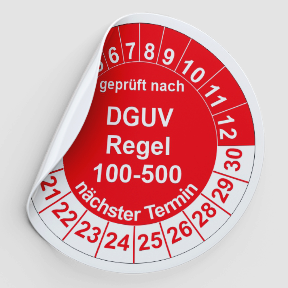 500 Prüfetiketten Etiketten Prüfplaketten ElektroCheck BLITZ mit Logo DGUV VDE 