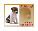 Aufkleber und Dekore - Hinweis und Verbotsaufkleber - Schilder Shop - Schilder und Werbeplanen - Hundewarnschilder Achtung, Vorsicht Hund - Hundeaufkleber und Hundeschilder Shop! - Jack Russel Terrier-Schild - Vorsicht mutiger Schoßhund! 