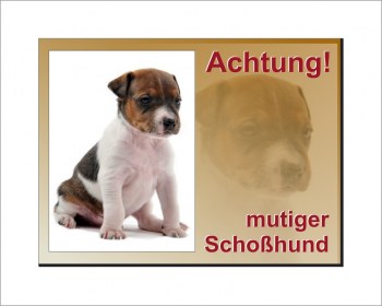 Jack Russel Terrier-Schild - Vorsicht mutiger Schoßhund! 