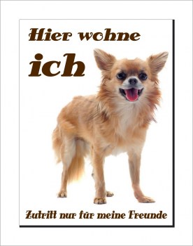 Chihuahua Schild - Hier wohne ich!