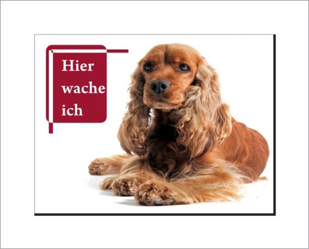 Aufkleber und Dekore - Hinweis und Verbotsaufkleber - Schilder Shop - Schilder und Werbeplanen - Hundewarnschilder Achtung, Vorsicht Hund - Hundeaufkleber und Hundeschilder Shop! - Cocker Spaniel  Schild - HIER WACHE ICH!