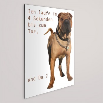 Boxer Hunde Schild - ICH LAUFE IN 4 SEKUNDEN.. !