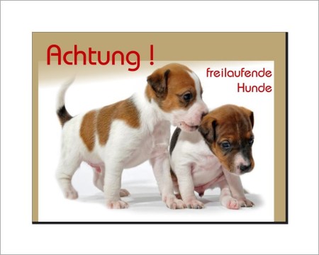 Aufkleber und Dekore - Hinweis und Verbotsaufkleber - Schilder Shop - Schilder und Werbeplanen - Hundewarnschilder Achtung, Vorsicht Hund - Hundeaufkleber und Hundeschilder Shop! - Hunde Schild - Jack Russell Terrier