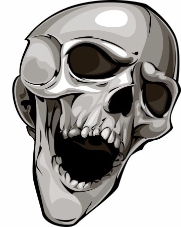 Totenkopf Skull Skulls Sticker Aufkleber Autoaufkleber Tattoo Auto Wandtattoo 4