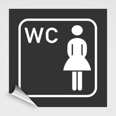 WC Hinweisschild, Damen WC Aufkleber, Pikt.1 anthrazit