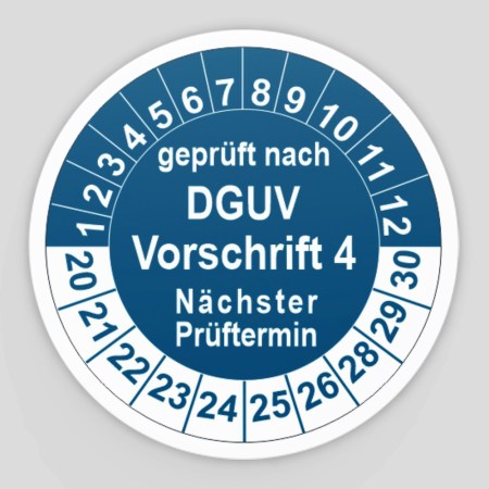 Dguv V4 Prüfung: Überprüfung Der Einhaltung
