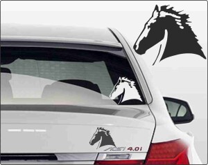 Pferdesticker