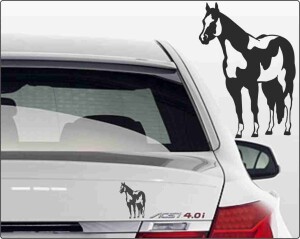 Pferdesticker