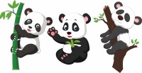 Wandtattoo Pandabären Pandabär